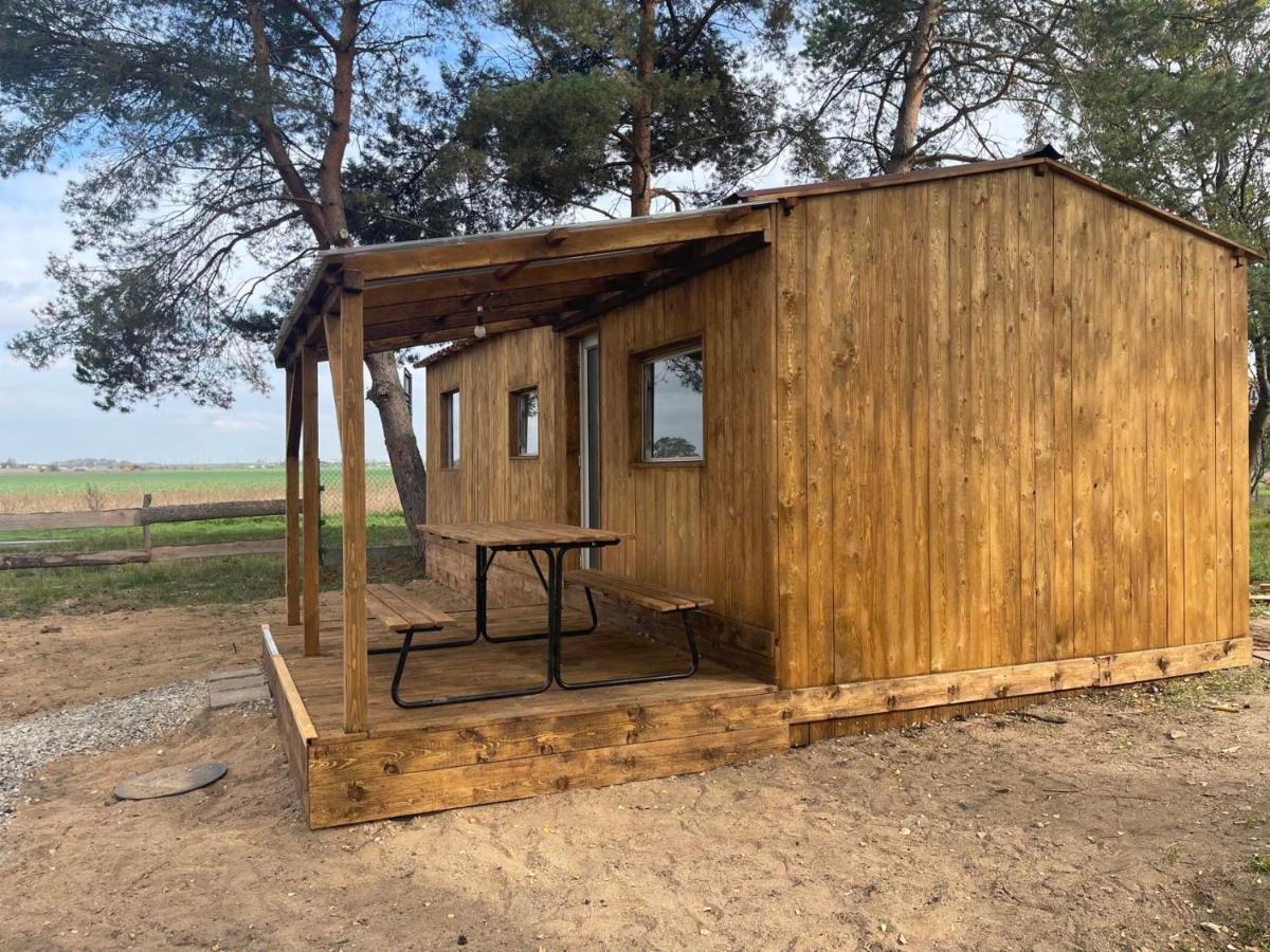 Pronajem Dreveneho Mobilheimu Stit Apartment Chlumec nad Cidlinou Exterior photo